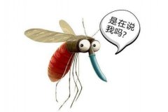 蚊子喜欢咬什么人 蚊子咬人的原因