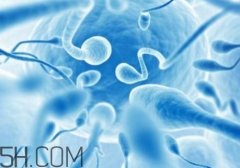 精子不液化是什么原因造成的？精子不液